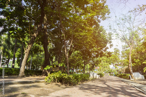 green grass field in big city park © wedninth