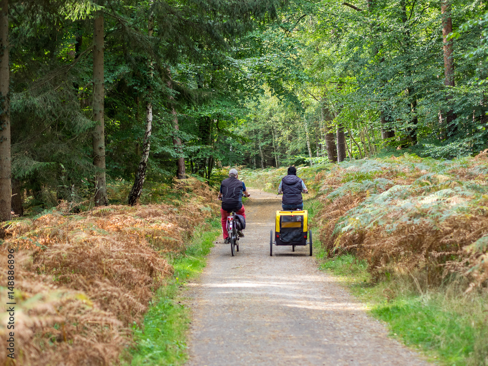Fototapeta premium Fahrradtour im Wald