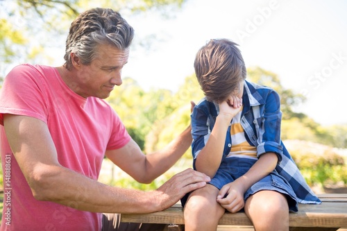 Father consoling his son at picnic in park © WavebreakMediaMicro