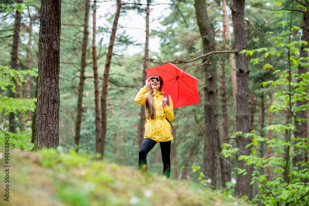 Young woman in yellow raincoat hiking with binoculars and red umbrella in the pine forest Young woman in yellow raincoat hiking with binoculars and red umbrella in the pine forest