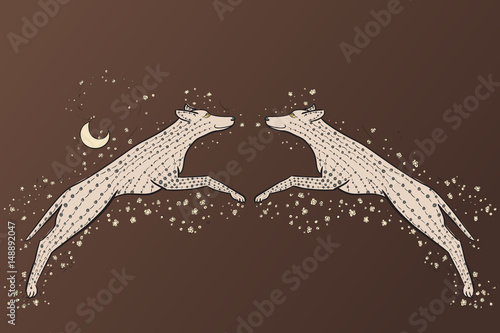 Two coyote in the style of Zen. Vector illustration of zentangle wolf. Chinese Horoscope 2018 - Year Of The Dog.