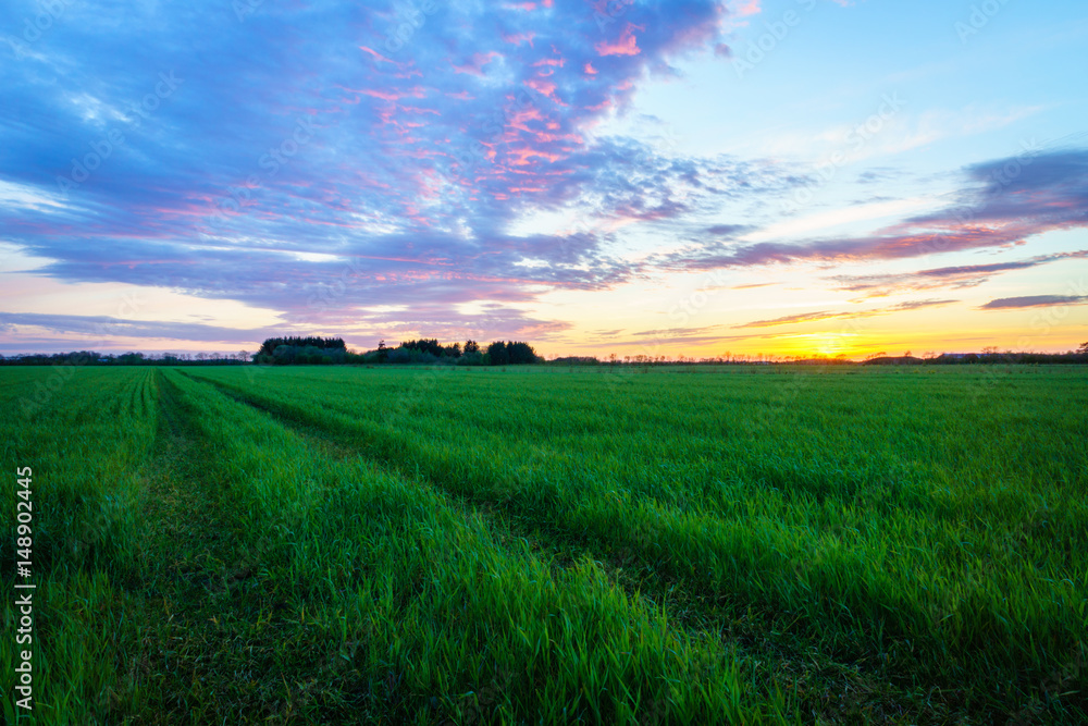 countryside landscape - farm field after sunset in spring