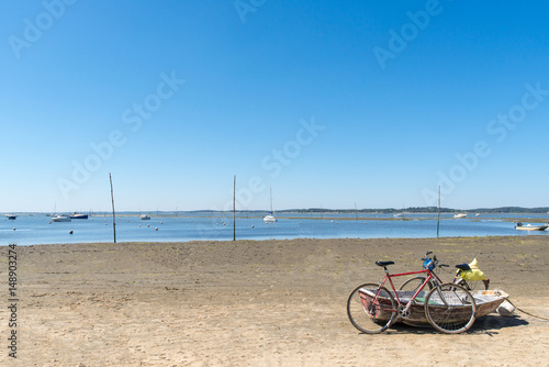 BASSIN D'ARCACHON (Arès)