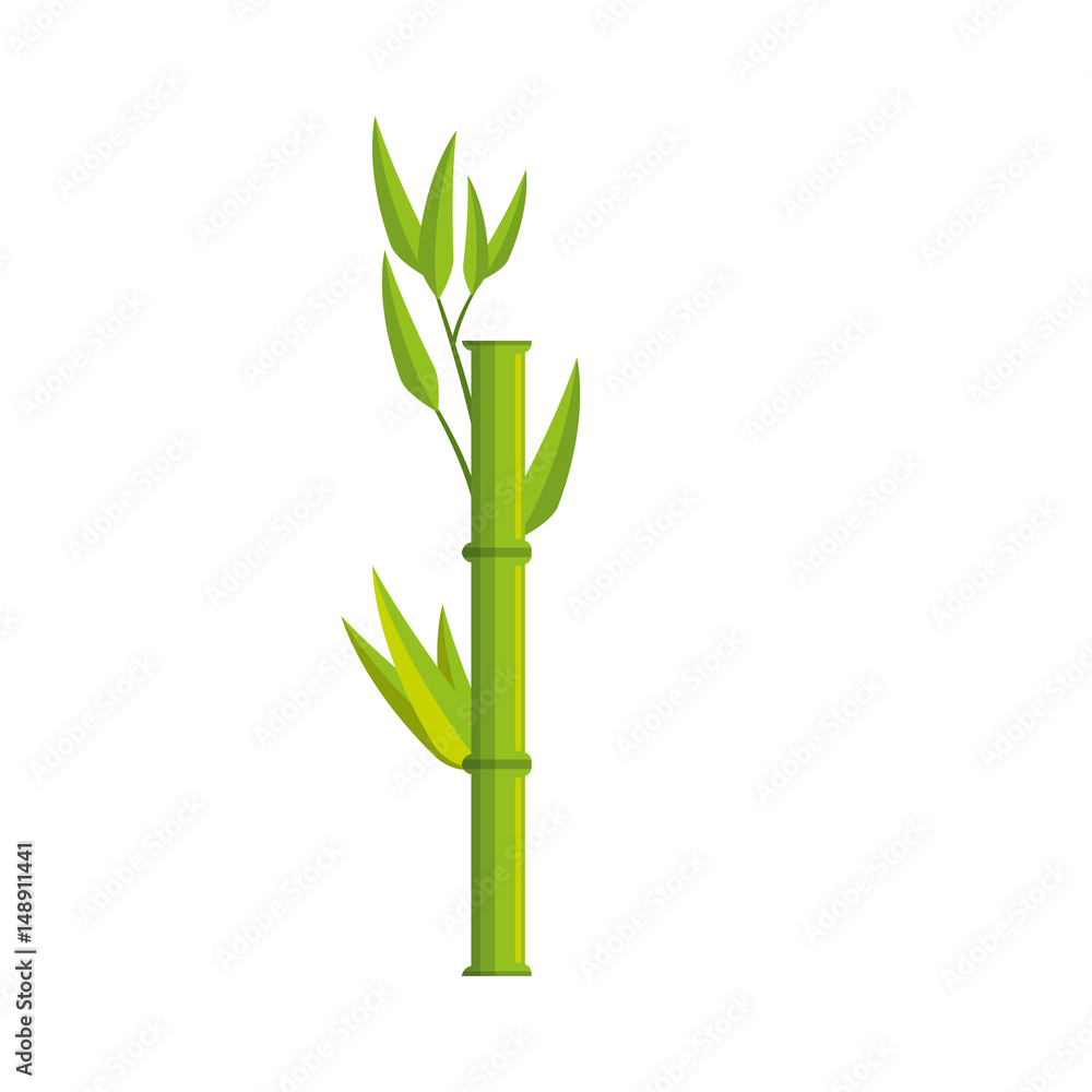Fototapeta liście bambusa ikona na białym tle. kolorowy design. ilustracji wektorowych