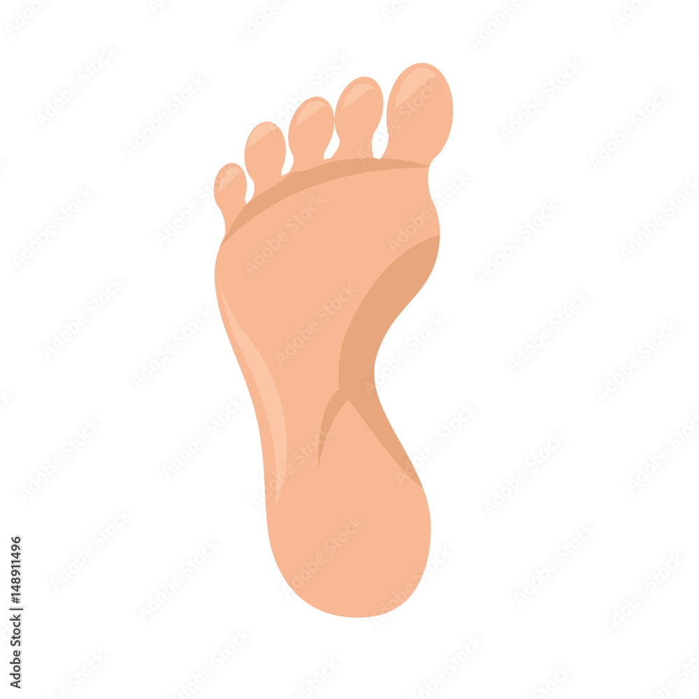 foot icon over white background. spa center concept. colorful design. vector illustration foot icon over white background. spa center concept. colorful design. vector illustration