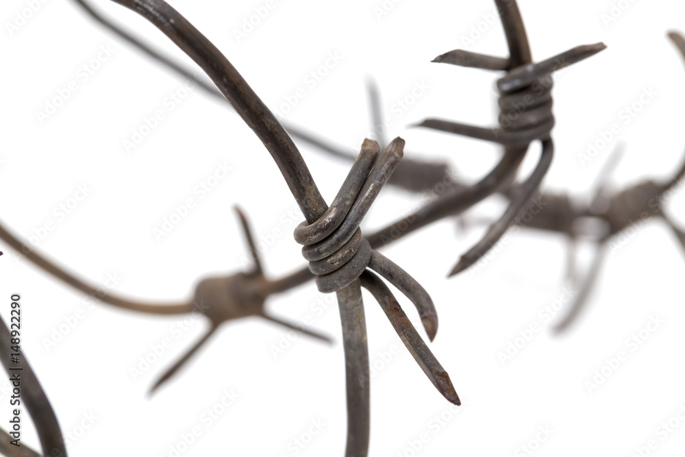 Obraz premium Barbed wire on white background. macro