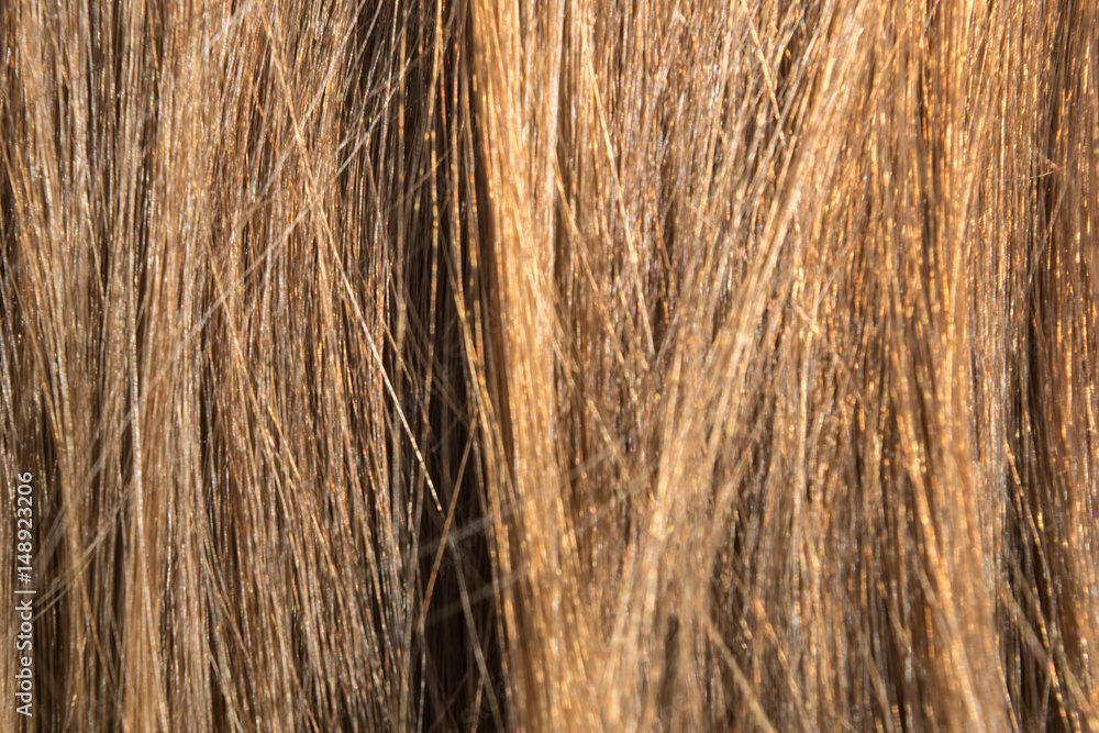 Fototapeta premium sample natural blond smooth hair