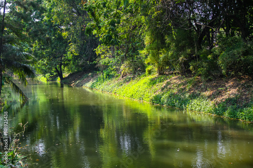 green canal side bank