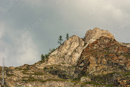 The rocks on the background of cloudy sky. Lichen on the rocks. Spruce.