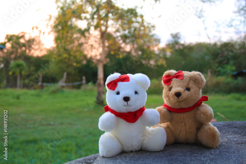 Teddy bears couple in a garden © Magnetu