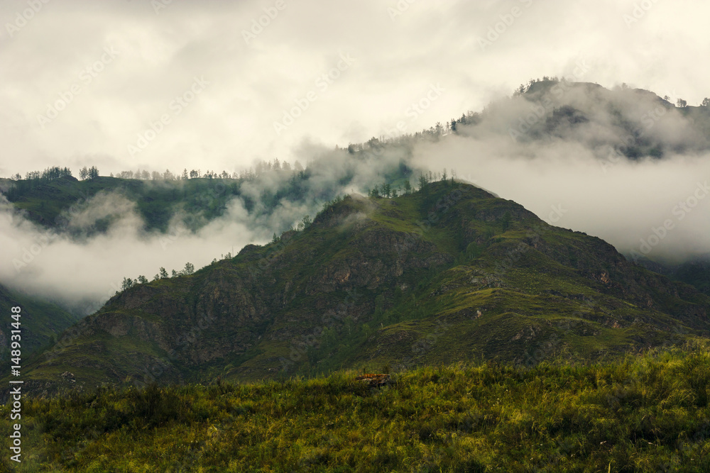 Fog in the mountains. Overcast weather. Altai. Fog in the mountains. Overcast weather. Altai.
