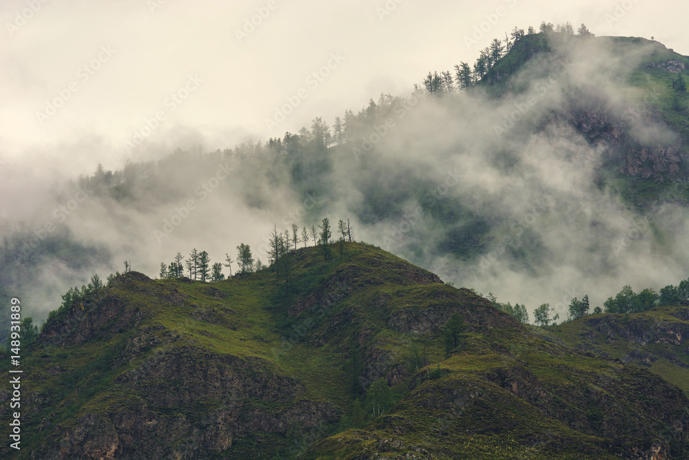 Fog in the mountains. Overcast weather. Altai.