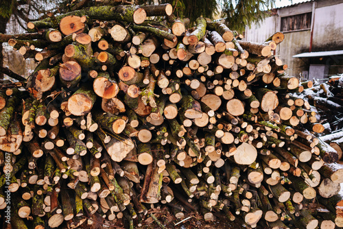 Pile of chopped fire wood prepared for winter photo