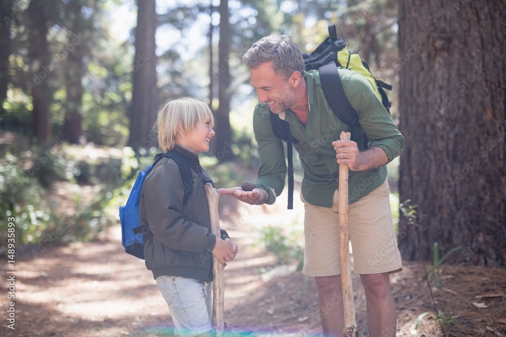 Father showing pine cone to son while hiking in forest Father showing pine cone to son while hiking in forest