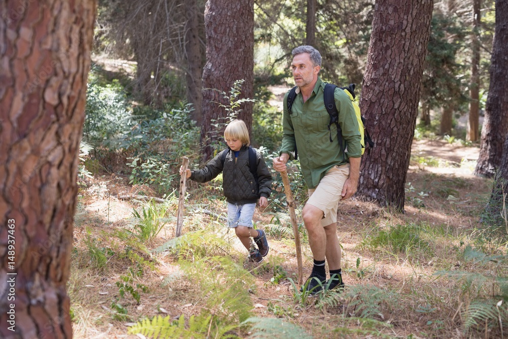 Father and son hiking in forest