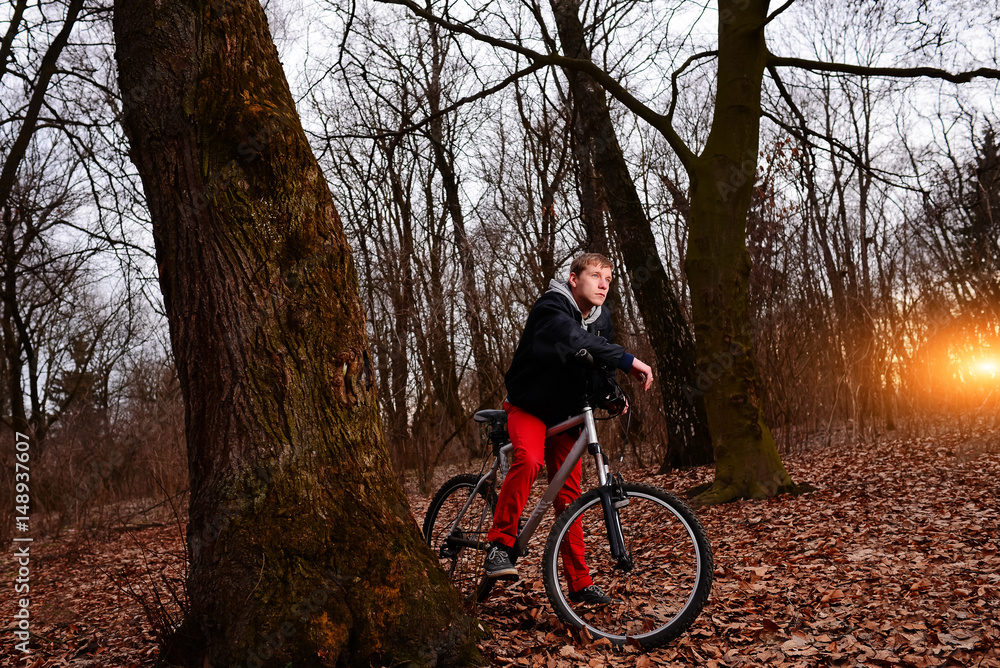Fototapeta premium Cyclist Riding the Bike on a Trail in Summer Forest
