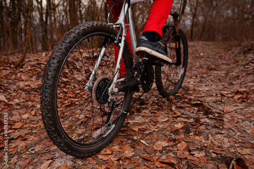 low angle view of cyclist riding mountain bike on trail at sunrise in the forest