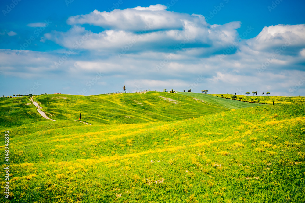 Fototapeta premium Paysage du Val d'Orcia en Toscane