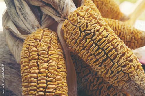 corn, vintage filter image