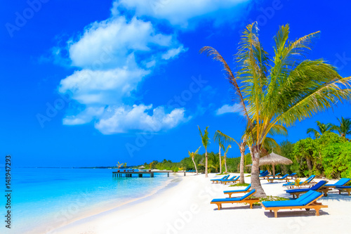 Fototapeta Naklejka Na Ścianę i Meble -  Dreamscape Escape On Maldives