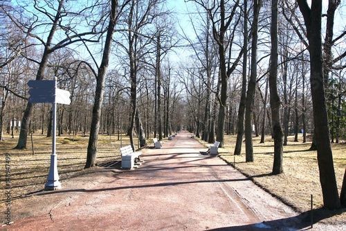 The beautiful  park in Saint Petersburg ,Russia