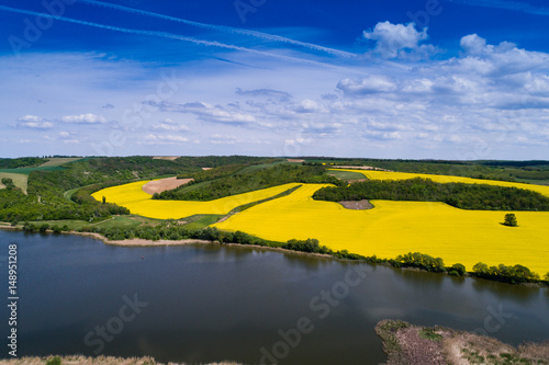 Rape field with lake