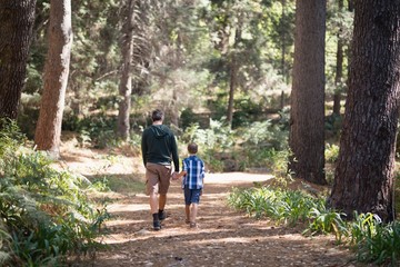Father and son walking in forest on sunny day