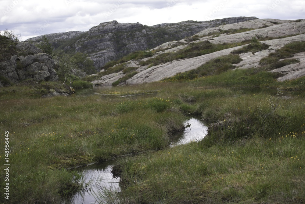 Fototapeta premium Bach am Hardangervidda 
