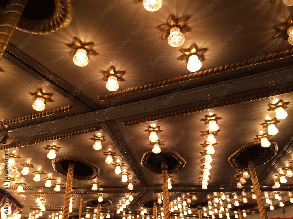 Obraz premium Carousel Twinkle Lights