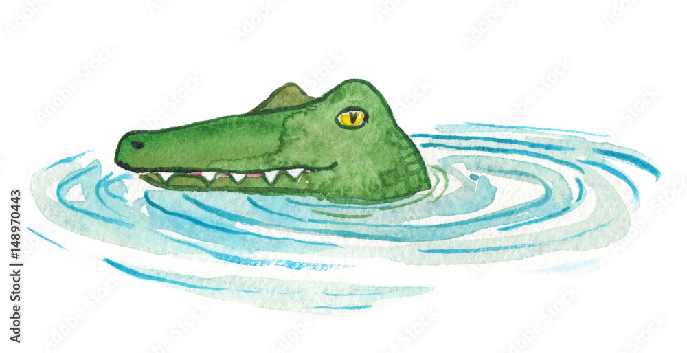 Green cartoon crocodile head emerging from water painted in watercolor on  clean white background Stock Illustration | Adobe Stock