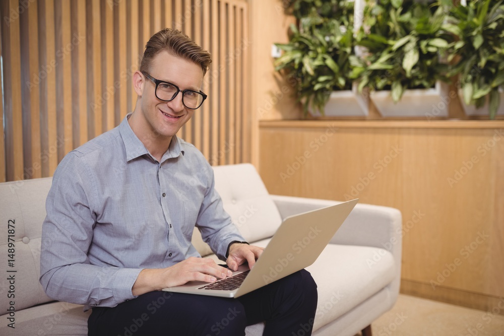 Portrait of smiling executive sitting on sofa and using laptop Portrait of smiling executive sitting on sofa and using laptop