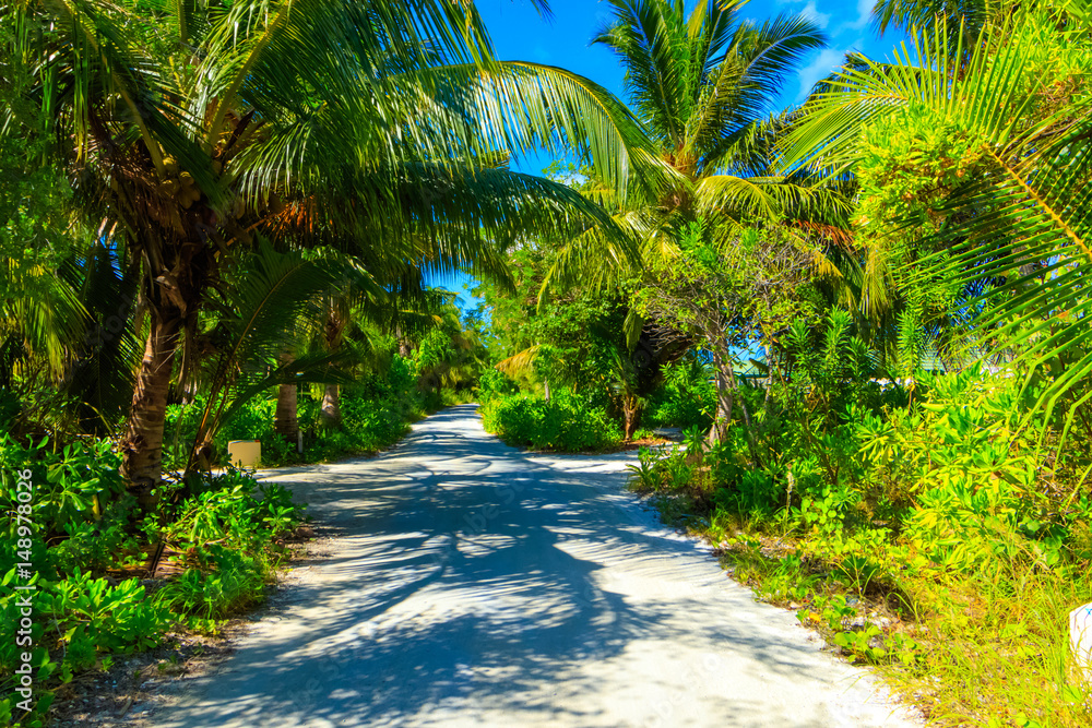 Obraz premium Dreamscape Escape On Maldives