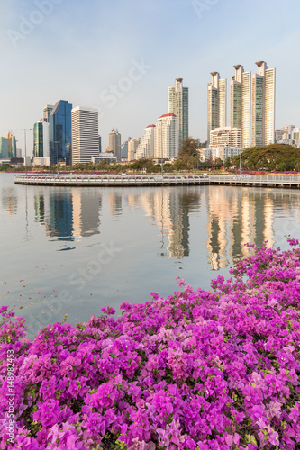 Blooming flowers at the Benjakiti (Benjakitti) Park and reflection of skyscrapers in Bangkok, Thailand.