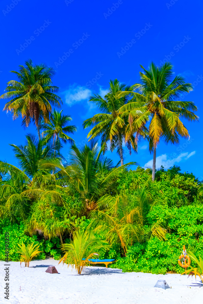 Obraz premium Dreamscape Escape On Maldives
