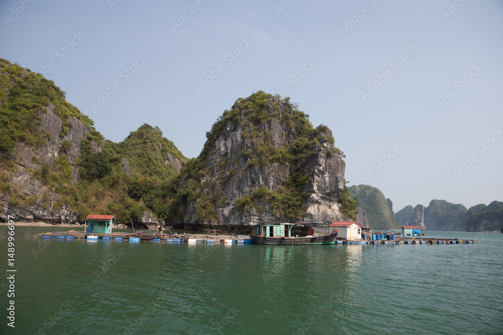 Obraz premium Island scene in near Cat Ba Island, Vietnam