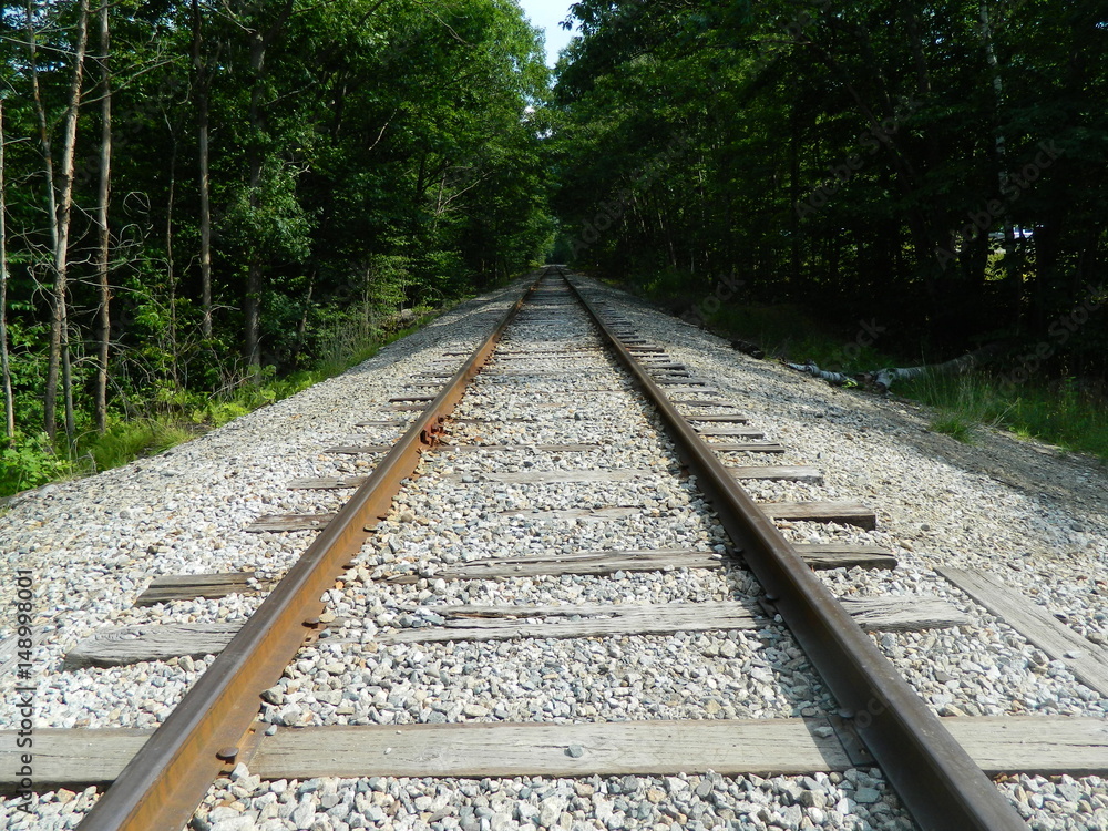 Obraz premium Railroad tracks