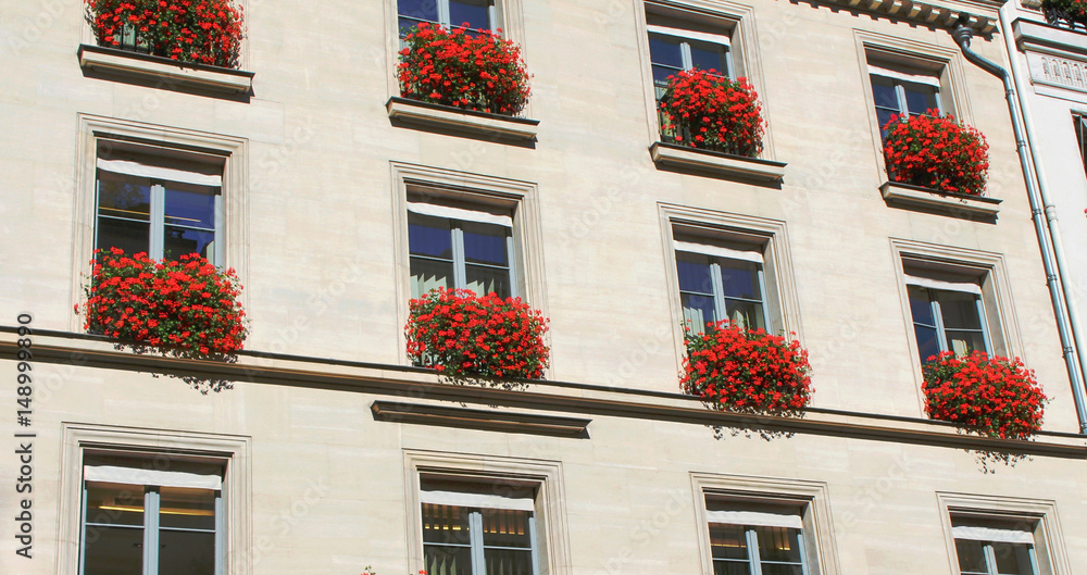 View on white building wall with red flowers on sills, paris city, france