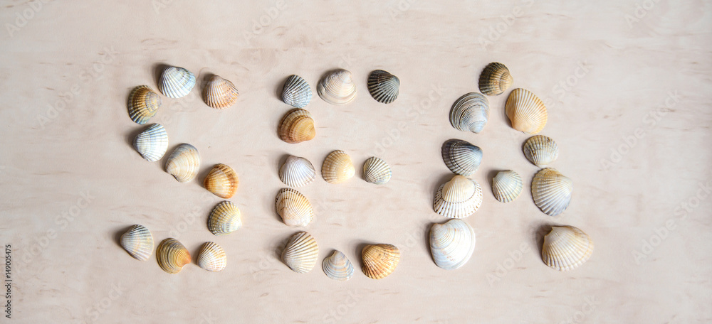 The word SEA written in sea shells