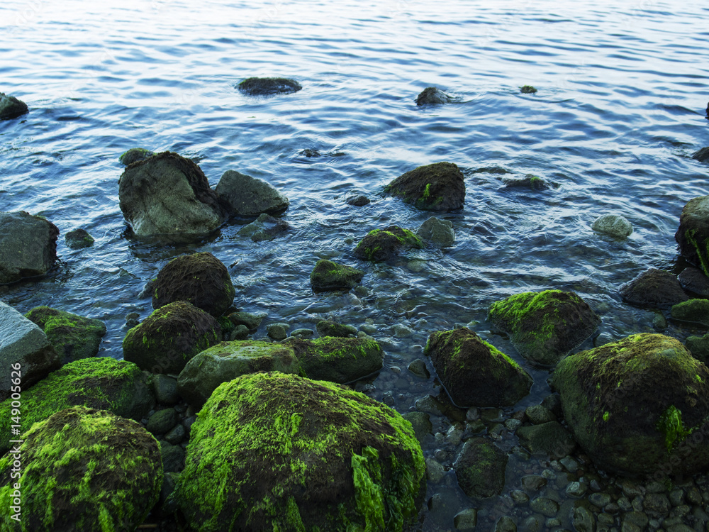 Still sea shore with blue water and stones. Mossy seaweed stones on volcanic beach.