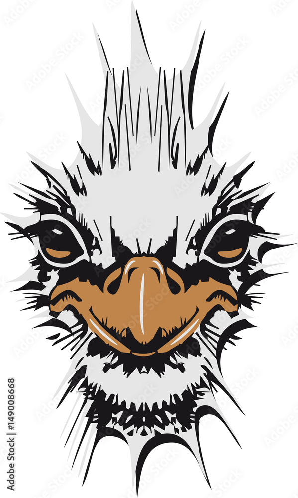 strauss emu design strauss emu design