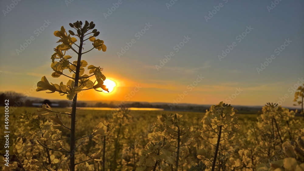 Sundown Sundown