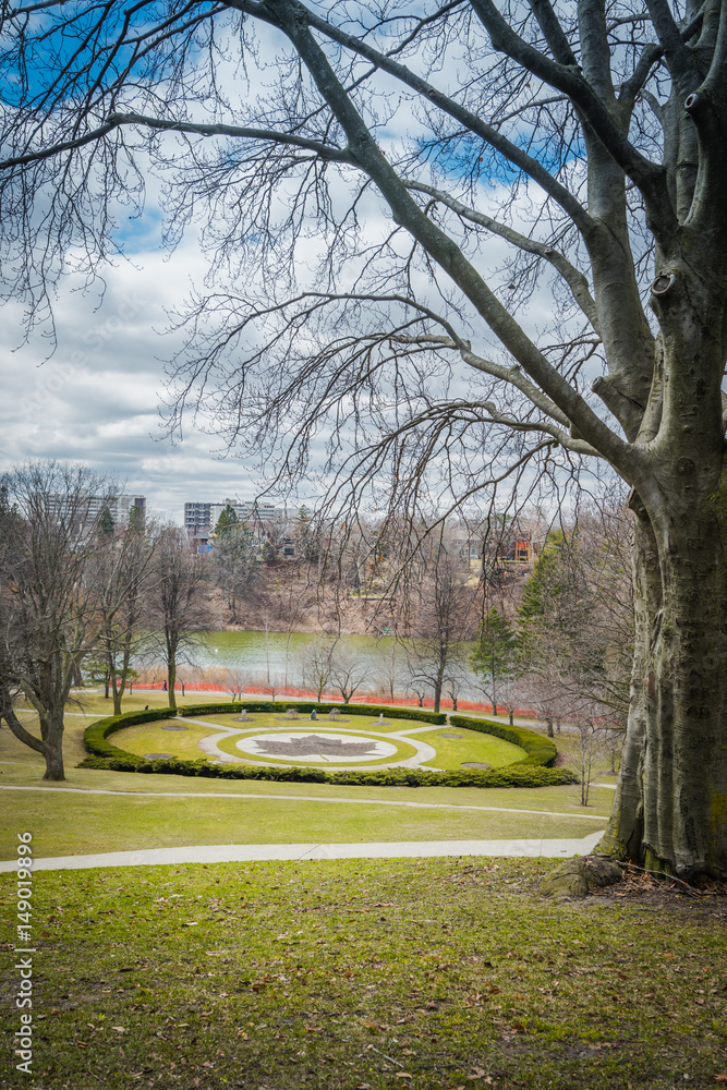 Fotografie High Park lawns