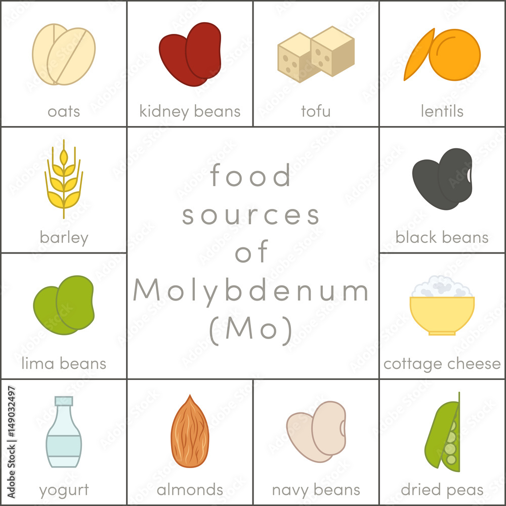 Food sources of molybdenum Stock Illustration Adobe Stock