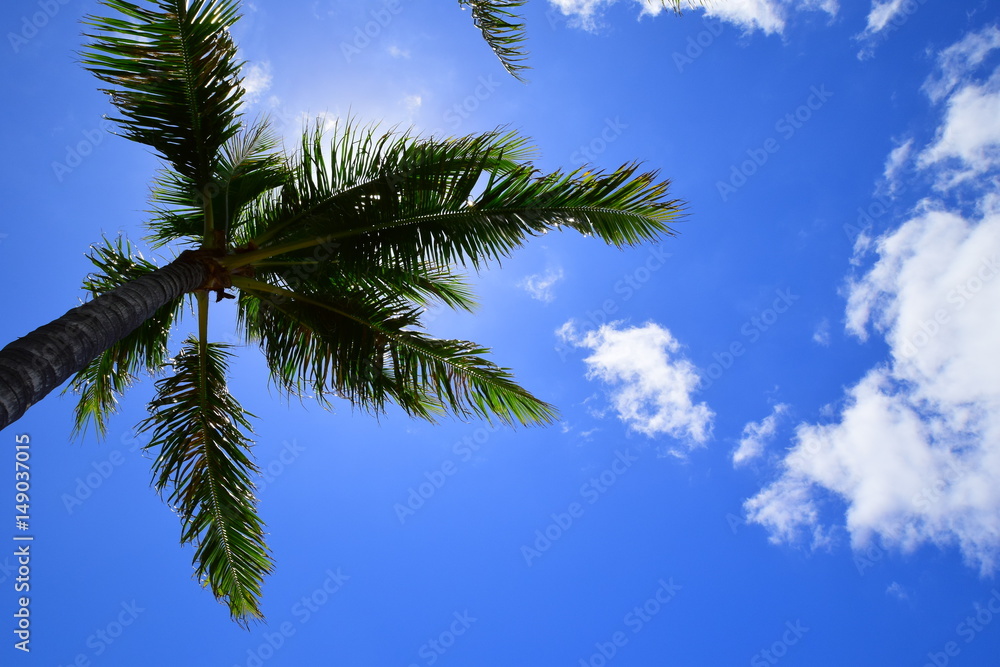 blue sky in hawaii blue sky in hawaii
