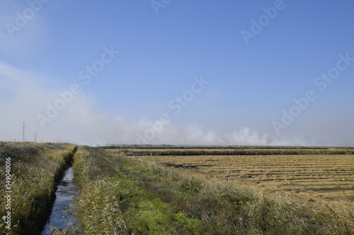Landscape burning field. The burning of rice straw in the fields. Rice paddies