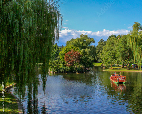 Boston Swan Boats photo