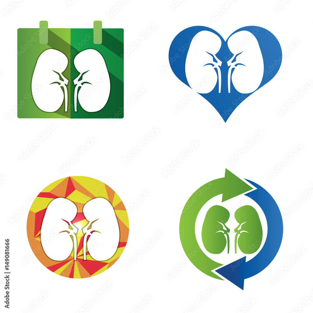 Obraz premium Human kidneys icon. Icon Set
