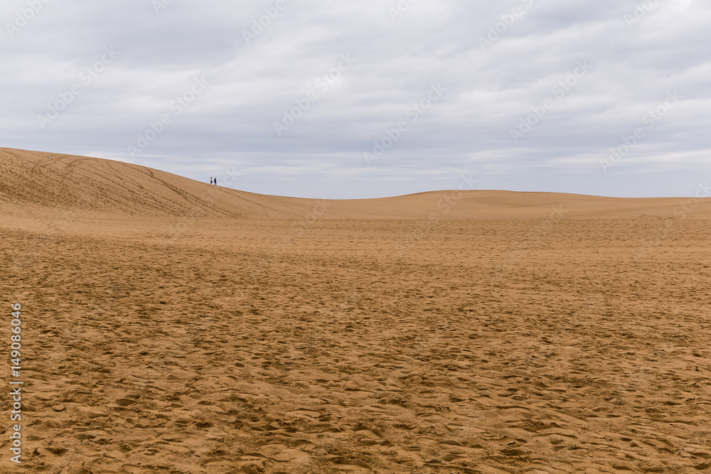 Obraz premium Tottori Dunes