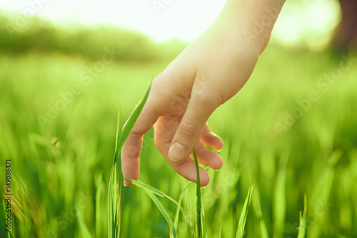 female hand, touch, grass © SHOTPRIME STUDIO