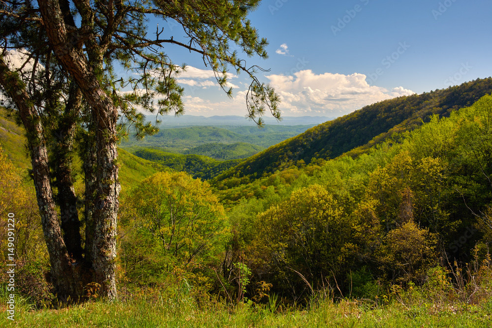 Up in the green mountains Up in the green mountains